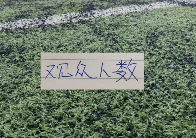 第22轮现场观众！重庆跟海港比赛有5万多人